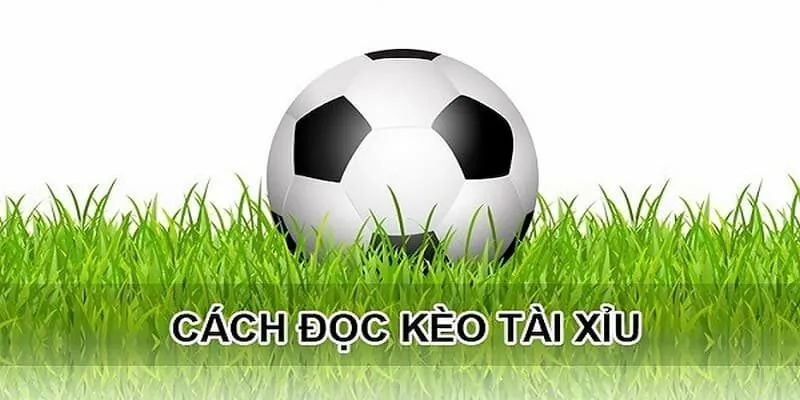 Kèo Tài Xỉu Trong Bóng Đá Hướng dẫn đọc kèo Tài Xỉu bóng đá