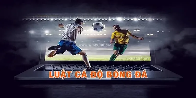 Kinh Nghiệm Cá Cược Bóng Đá Từ Cao Thủ Typhu88 kinh-nghiem-ca-cuoc-bong-da-1