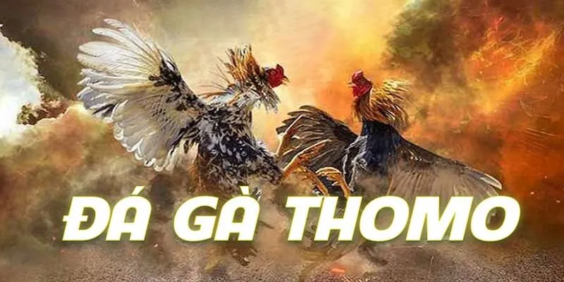 Luật Đá Gà Thomo 2024: Cập Nhật Mới Nhất Typhu88 Chiến lược cá cược thông minh